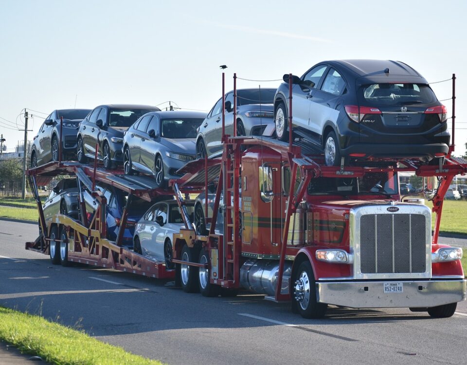 Quais as particularidades do transporte cegonha? Quais as particularidades do transporte cegonha?