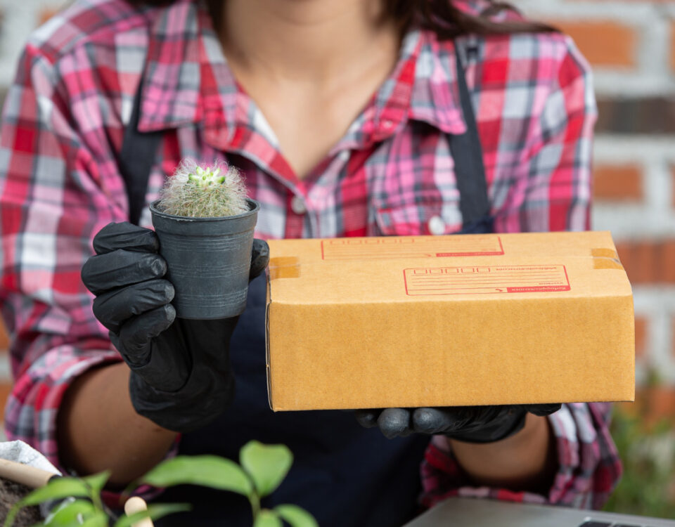 Logística ideal para transporte de plantas delicadas Logística ideal para transporte de plantas delicadas