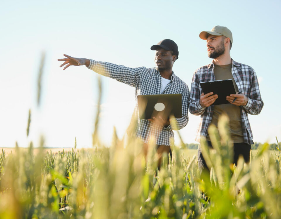 Como a agrimensura melhora centros de distribuição Como a agrimensura melhora centros de distribuição