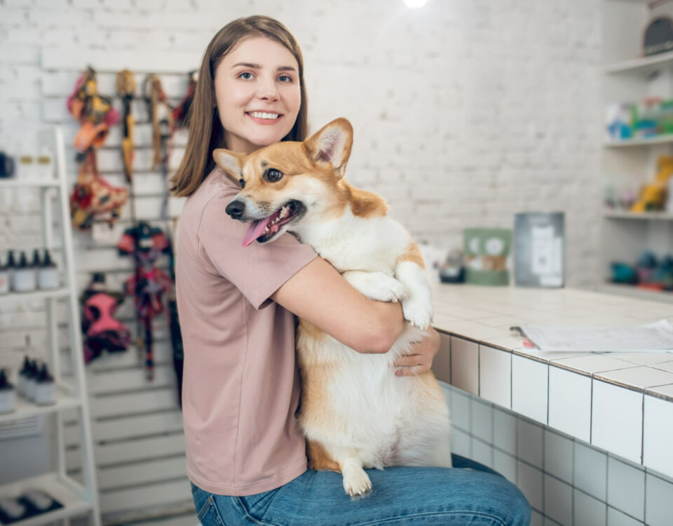 Como o som influencia a permanência de pets em lojas Como o som influencia a permanência de pets em lojas