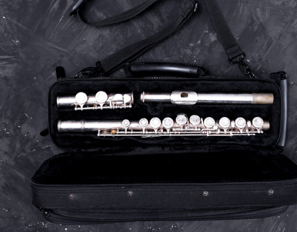 Como instrumentos musicais são transportados com segurança Como instrumentos musicais são transportados com segurança